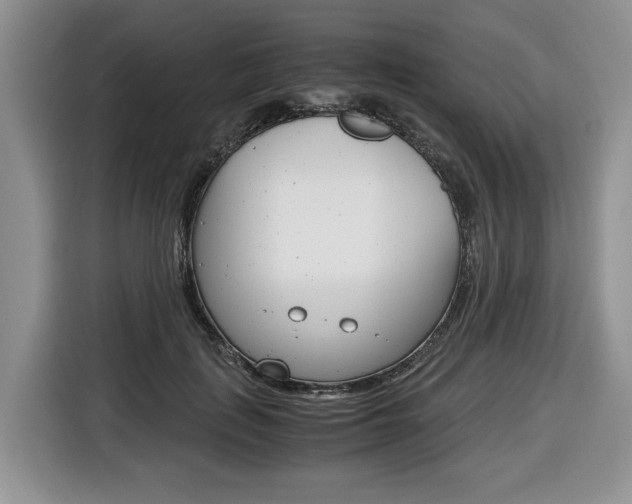 X0000116680651200912141006