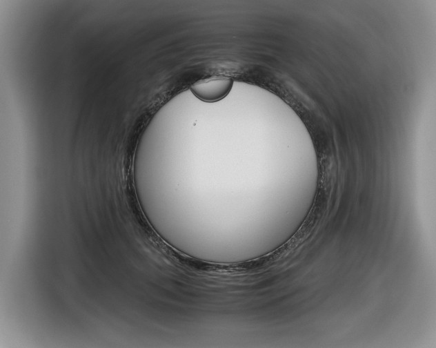 X0000116680655200912141006