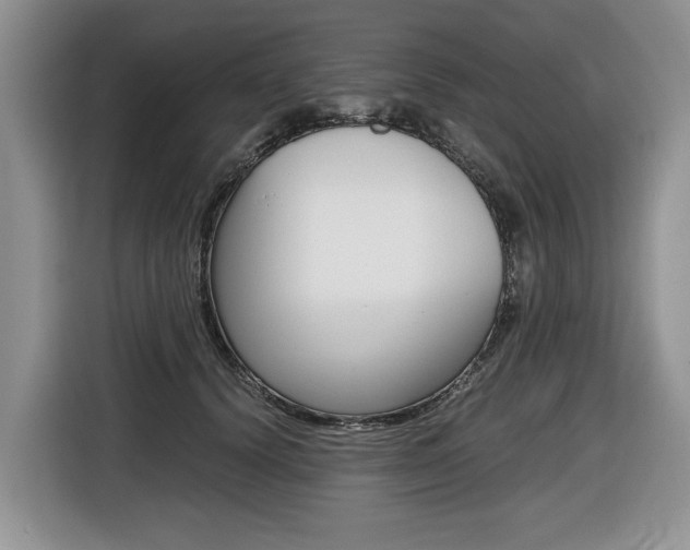 X0000116680656200912141006
