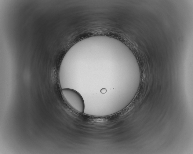 X0000116680659200912141006