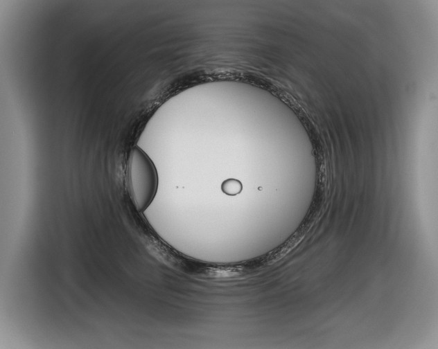 X0000116680662200912141006