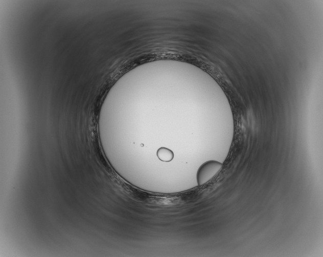 X0000116680663200912141006