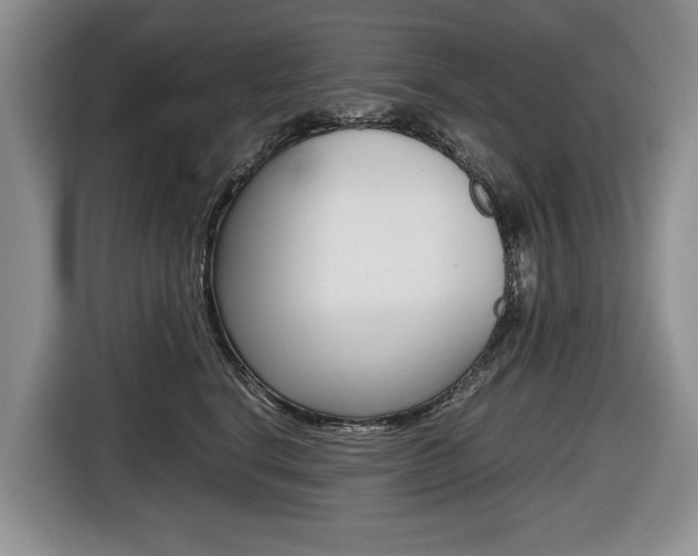 X0000116680664200912141006