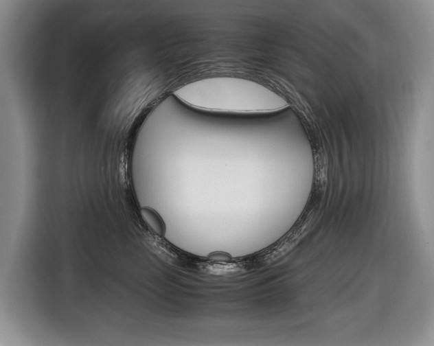 X0000116680669200912141006