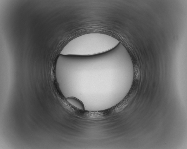 X0000116680670200912141006