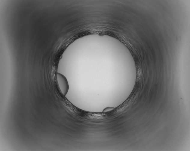 X0000116680671200912141006