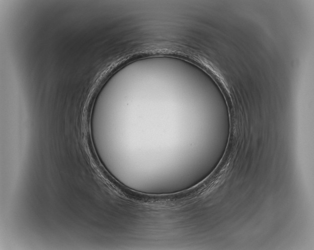 X0000116680673200912141006