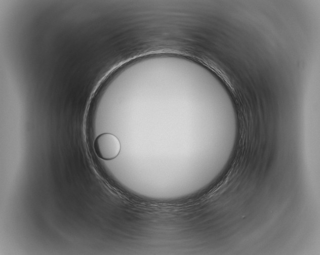 X0000116680676200912141006