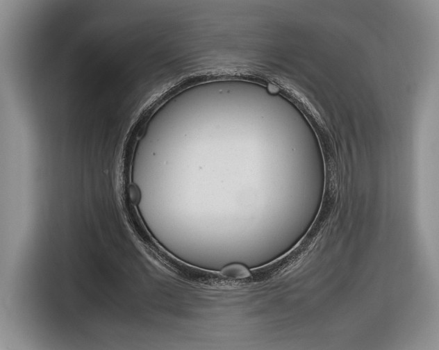 X0000116680677200912141006