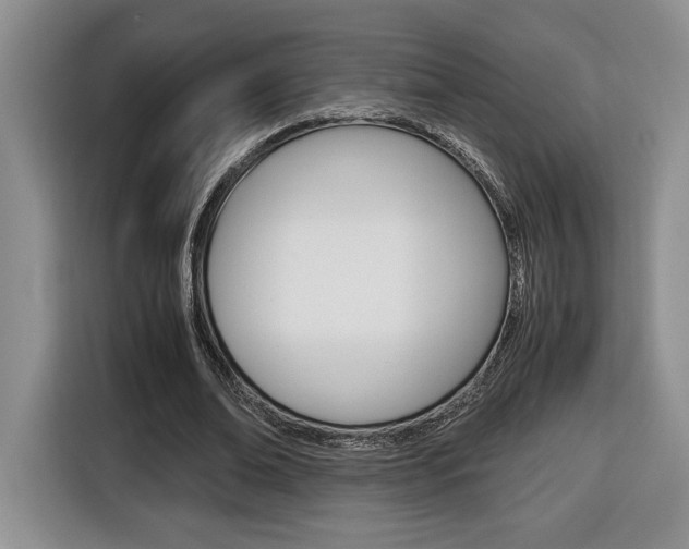 X0000116680678200912141006