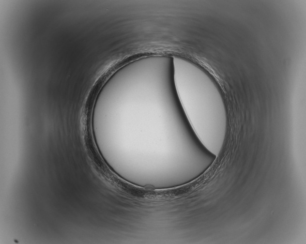 X0000116680679200912141006