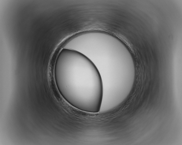 X0000116680680200912141006