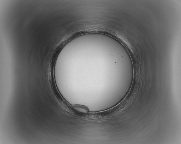 X0000116680681200912141006