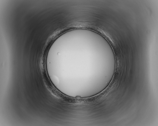 X0000116680682200912141006
