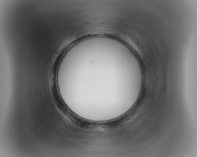 X0000116680683200912141006
