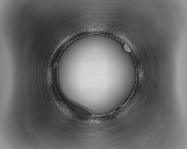 X0000116680684200912141006