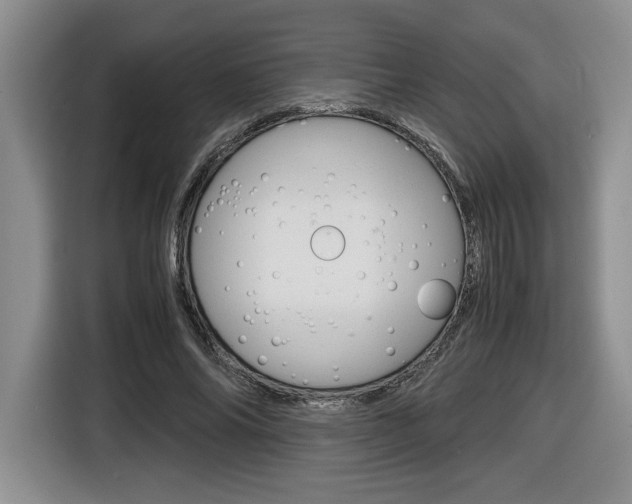 X0000116680686200912141006