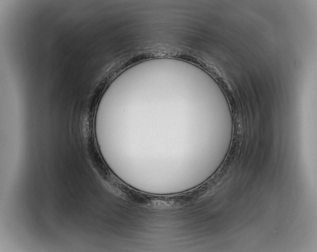 X0000116680690200912141006
