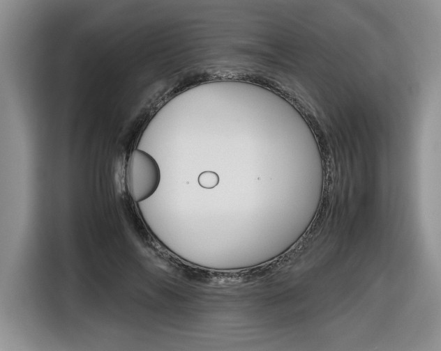 X0000116680694200912141005