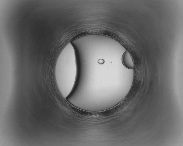 X0000116680695200912141005