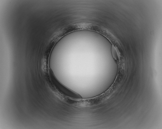 X0000116680696200912141005