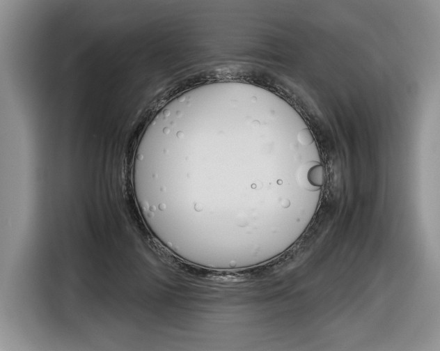 X0000116680698200912141005