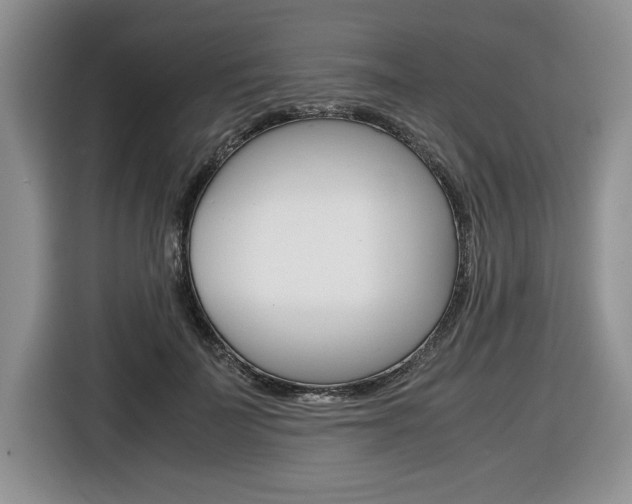 X0000116680699200912141005