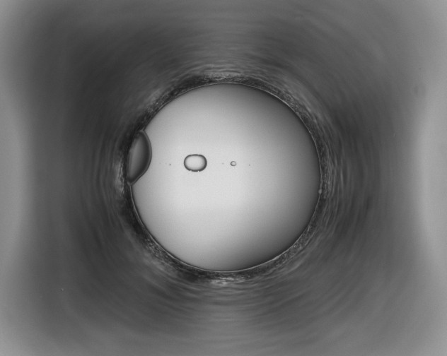X0000116680700200912141005