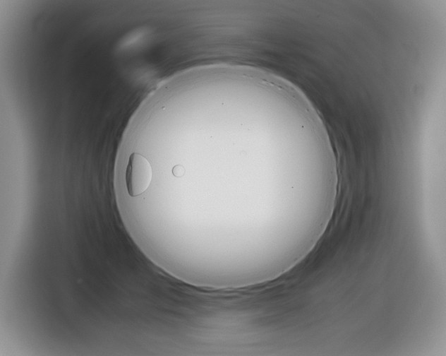X0000116680701200912141005