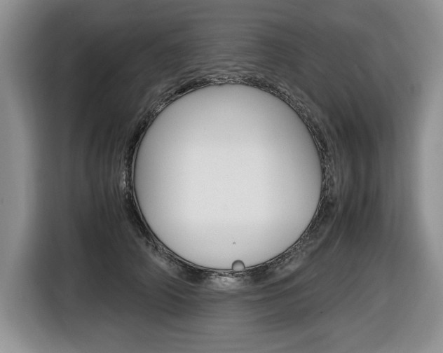X0000116680706200912141005