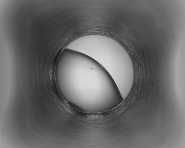 X0000116680708200912141005
