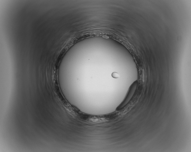 X0000116680712200912141005