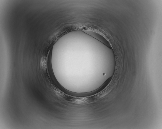 X0000116680720200912141005