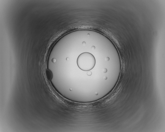 X0000116680721200912141005