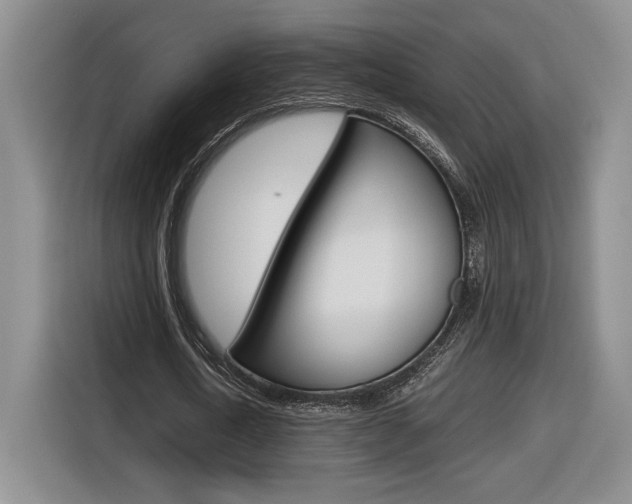 X0000116680722200912141005