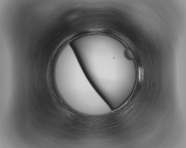 X0000116680723200912141005