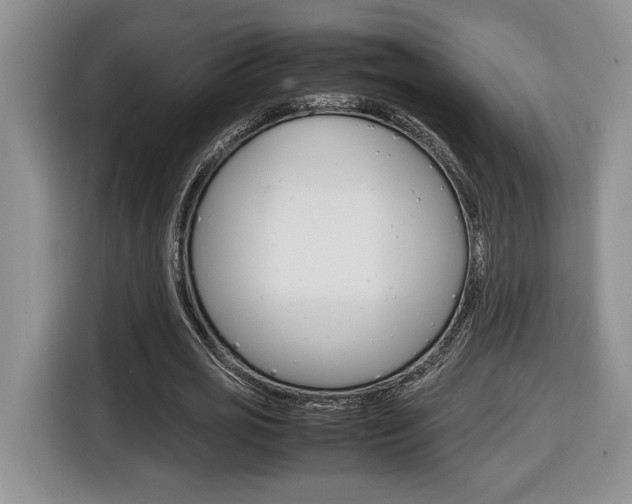 X0000116680725200912141005