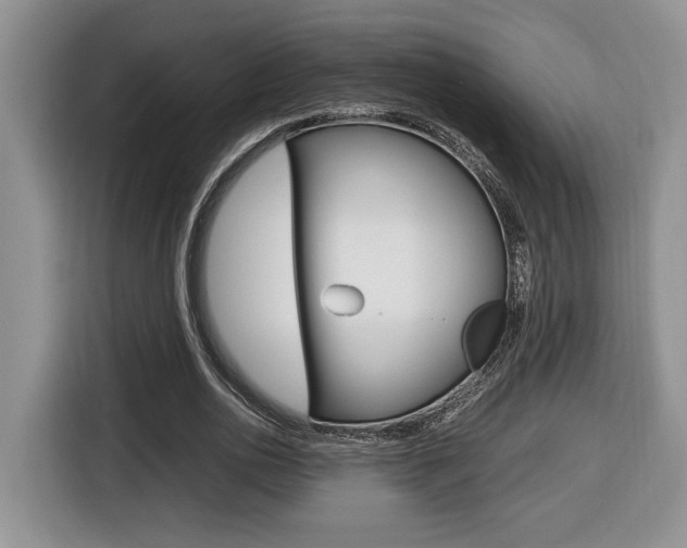 X0000116680726200912141005