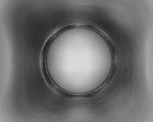 X0000116680730200912141005