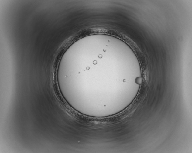 X0000116680733200912141005
