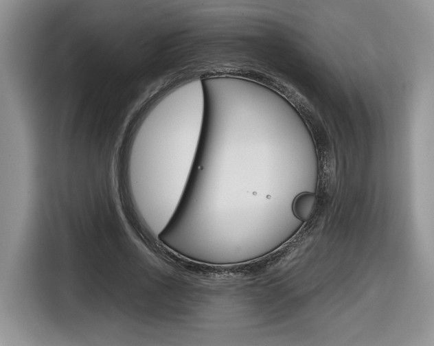 X0000116680734200912141005