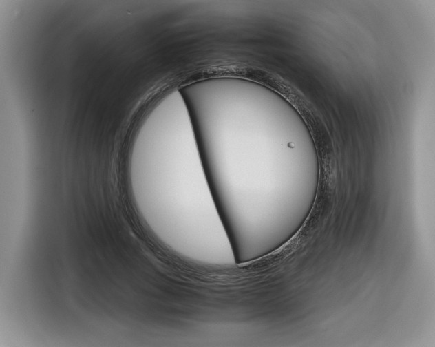 X0000116680735200912141005