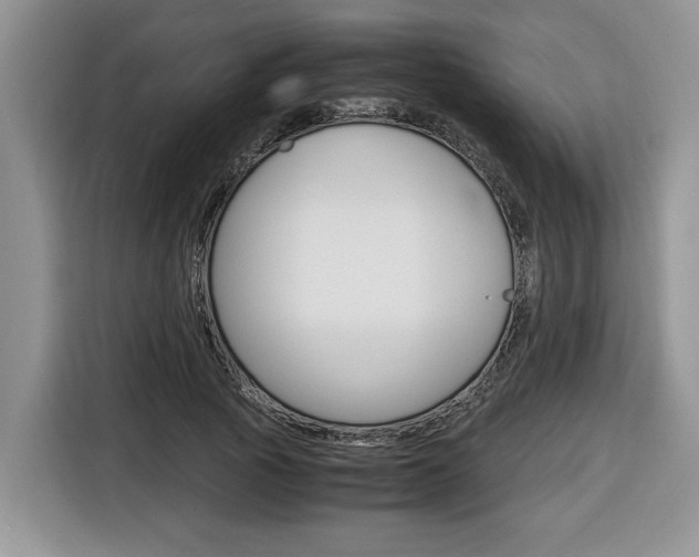X0000116680737200912141005