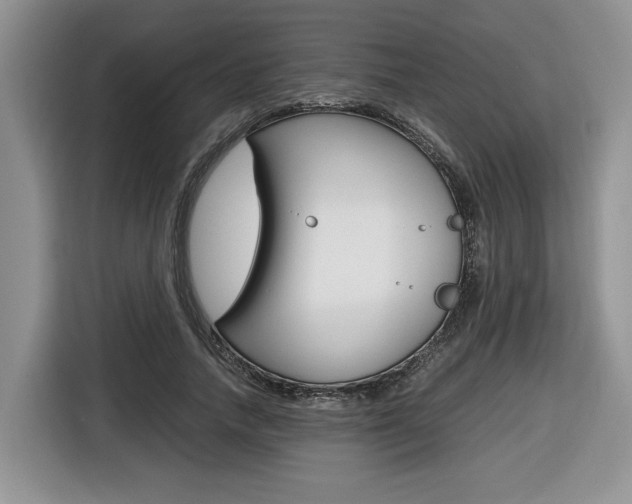 X0000116680738200912141005
