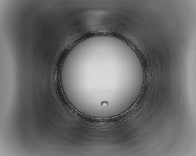 X0000116680739200912141005
