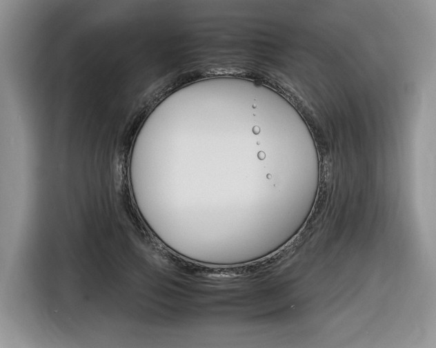 X0000116680741200912141005