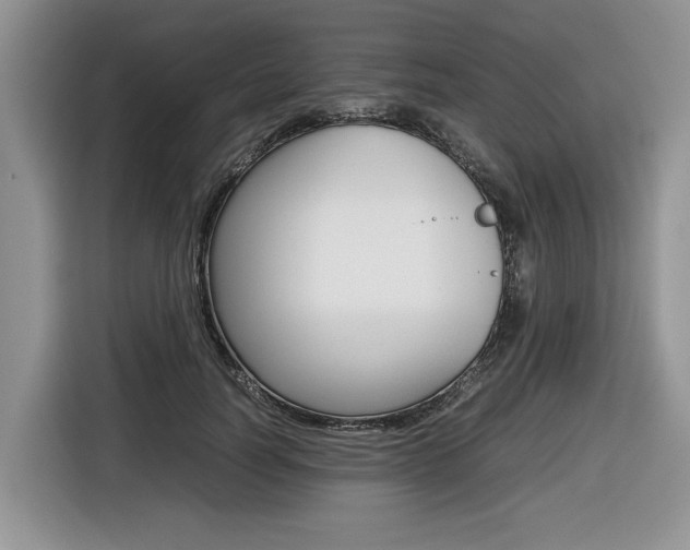 X0000116680746200912141005