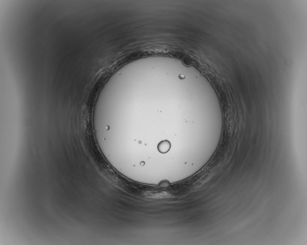 X0000116680747200912141005