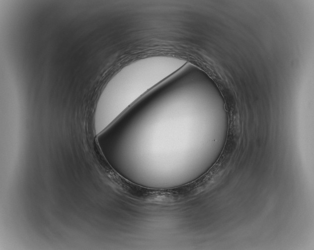 X0000116680750200912141005