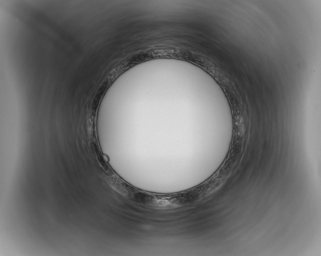 X0000116680753200912141005